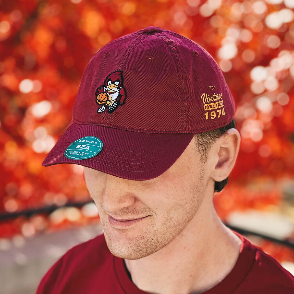 L2 Vintage Basketball Cy Weathered Cardinal Hat